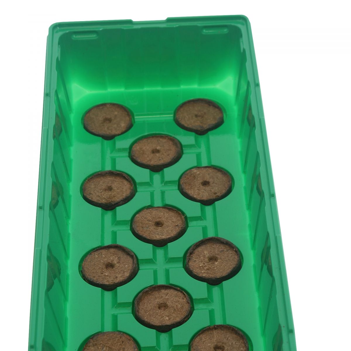 Mini estufa com 20 pastilhas de fibra de coco