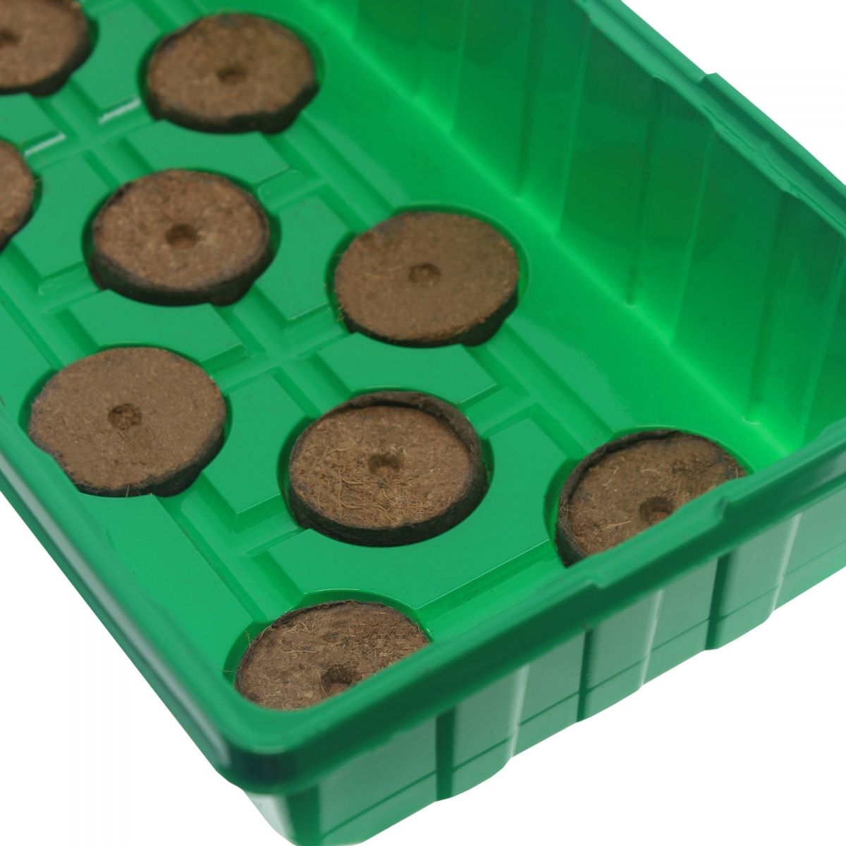 Mini estufa com 20 pastilhas de fibra de coco