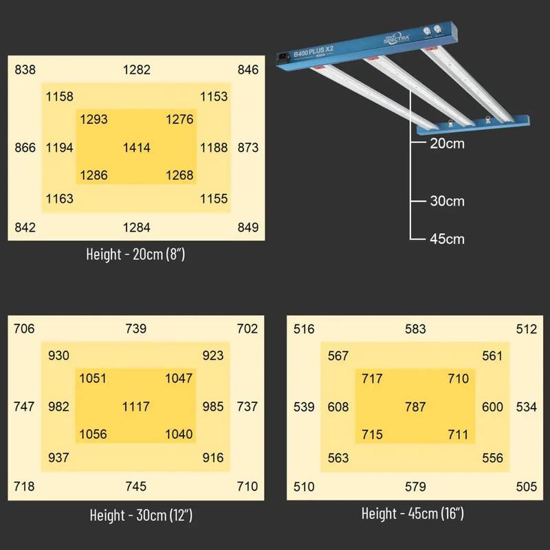 Diagrammes de répartition lumineuse de la LED HortiSpectra 400W à différentes hauteurs, optimisant la croissance des plantes dans tente 120x60x180cm.