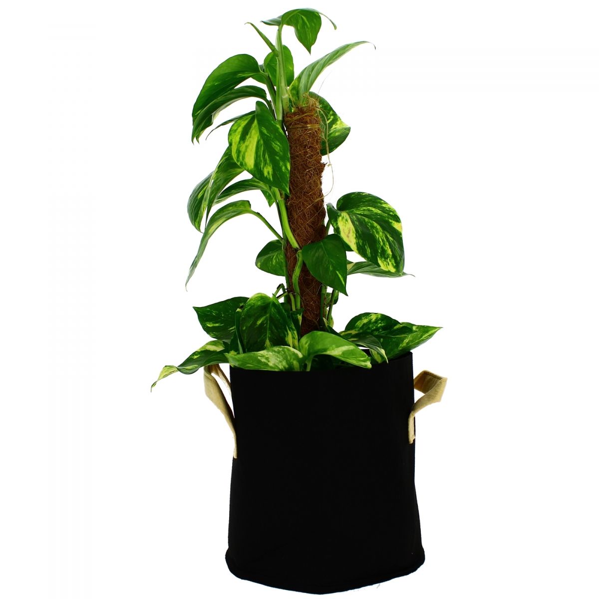 Greencube - Geotekstilpotte 20 liter