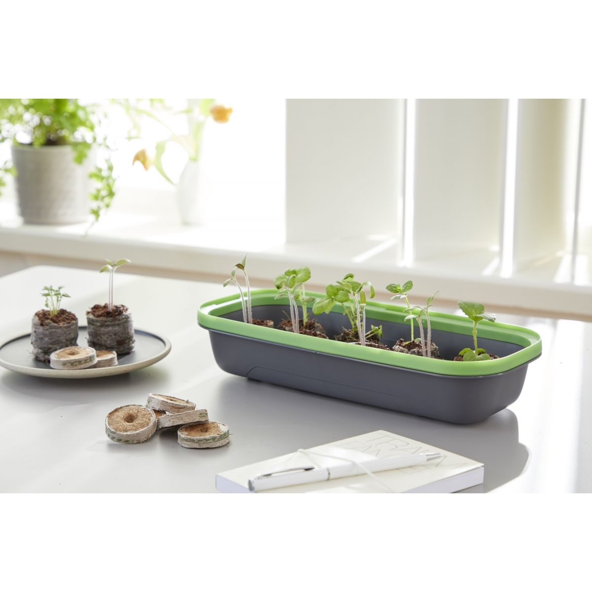 Mini kasvihuone BoQube 28x13x12cm - antrasiitinvihreä