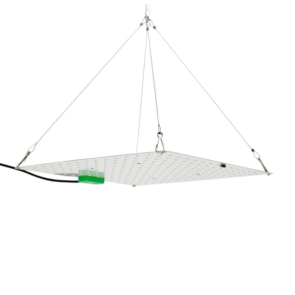 Lampe horticole LED - Quantum Board 85W AGROLIGHT suspendue avec câbles, idéale pour culture indoor à haute efficacité lumineuse.