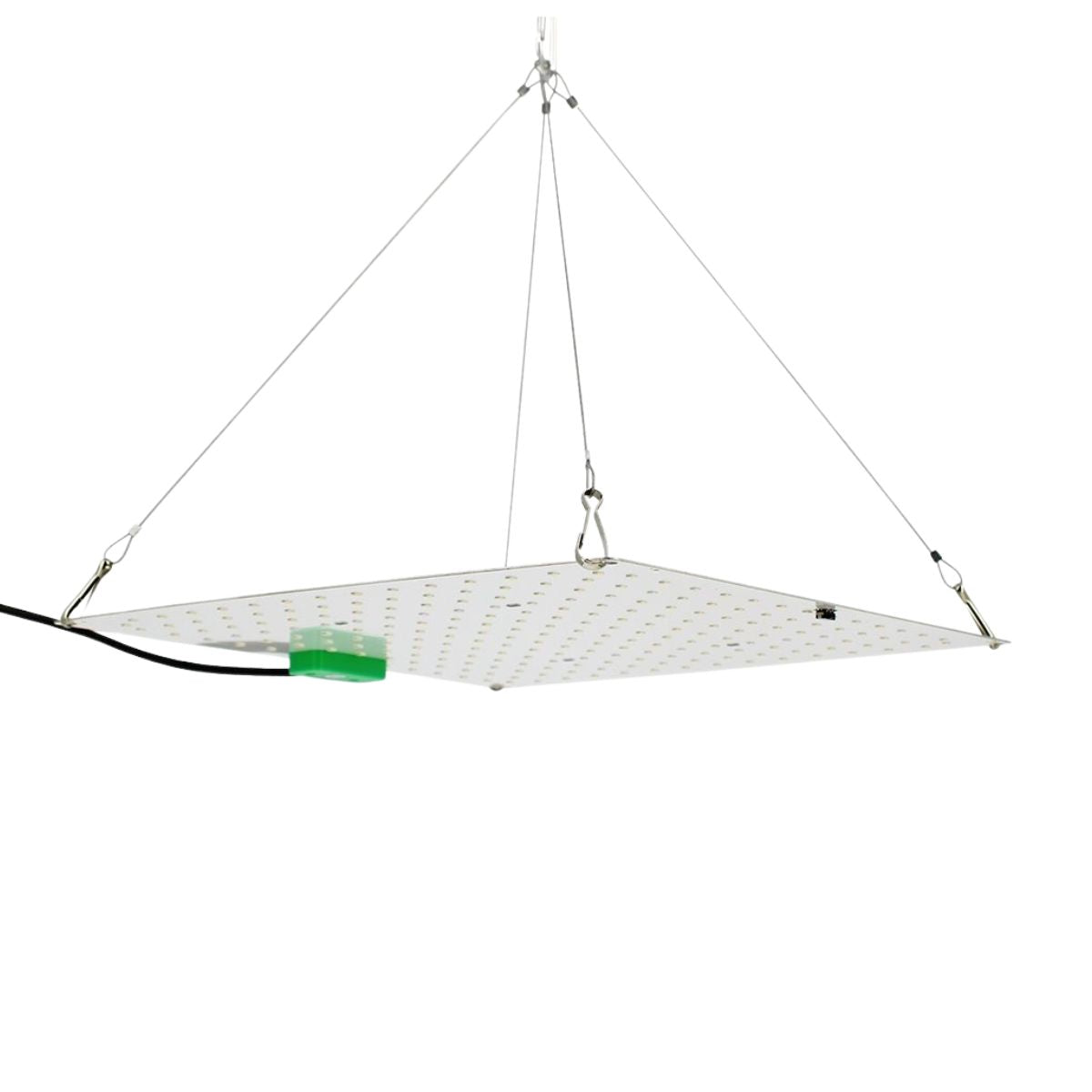 Lampe horticole LED - Quantum Board 85W AGROLIGHT suspendue avec cùbles, idéale pour culture indoor à haute efficacité lumineuse.