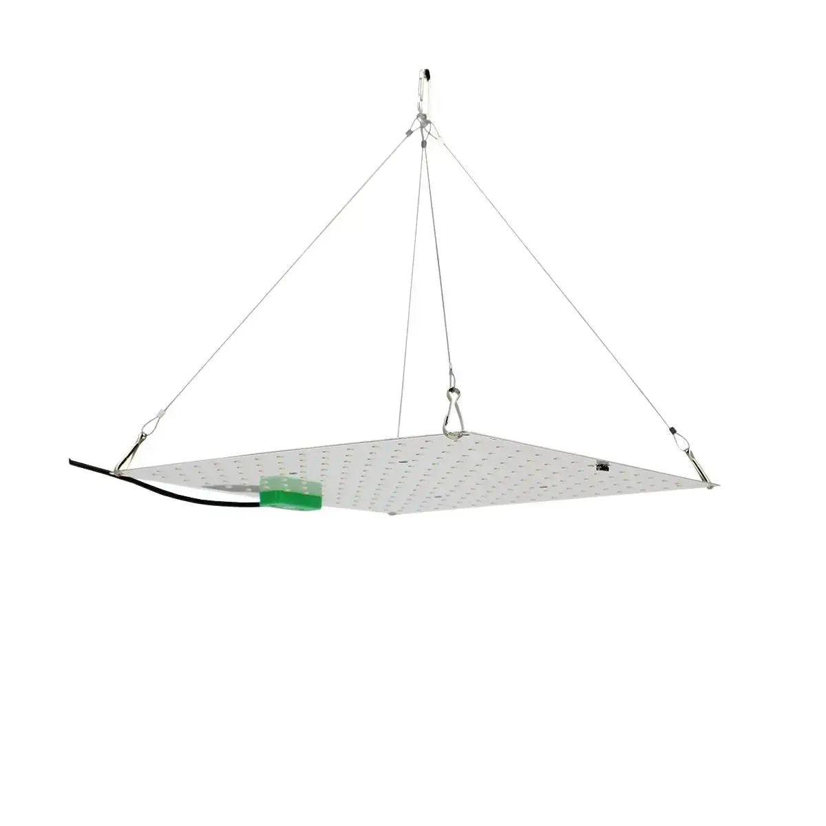 LED Quantum Board 150W AGROLIGHT suspendue avec câbles en acier, idéale pour la culture indoor grâce à sa lumière horticole Full Spectrum.