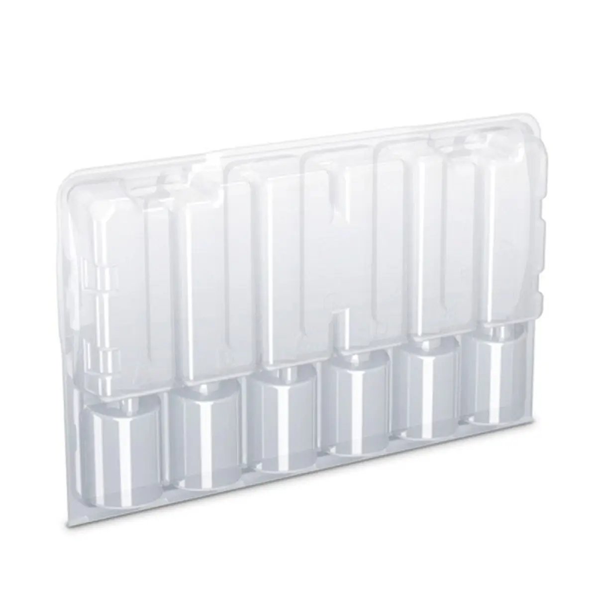 Boite de transport transparente pour 6 boutures