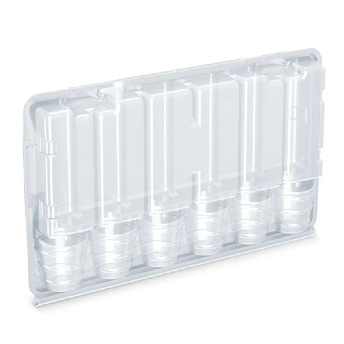 Boite de transport transparente pour 6 boutures