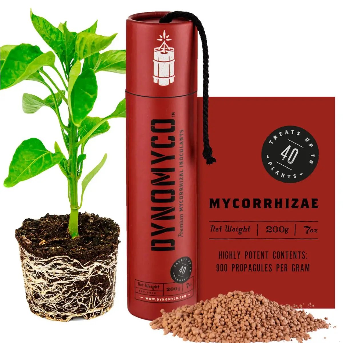 Engrais DYNOMYCO Mycorhizes 200 g avec plante enracinée, poudre mycorhizienne et emballage rouge. Favorise racines fortes et sol vivant.