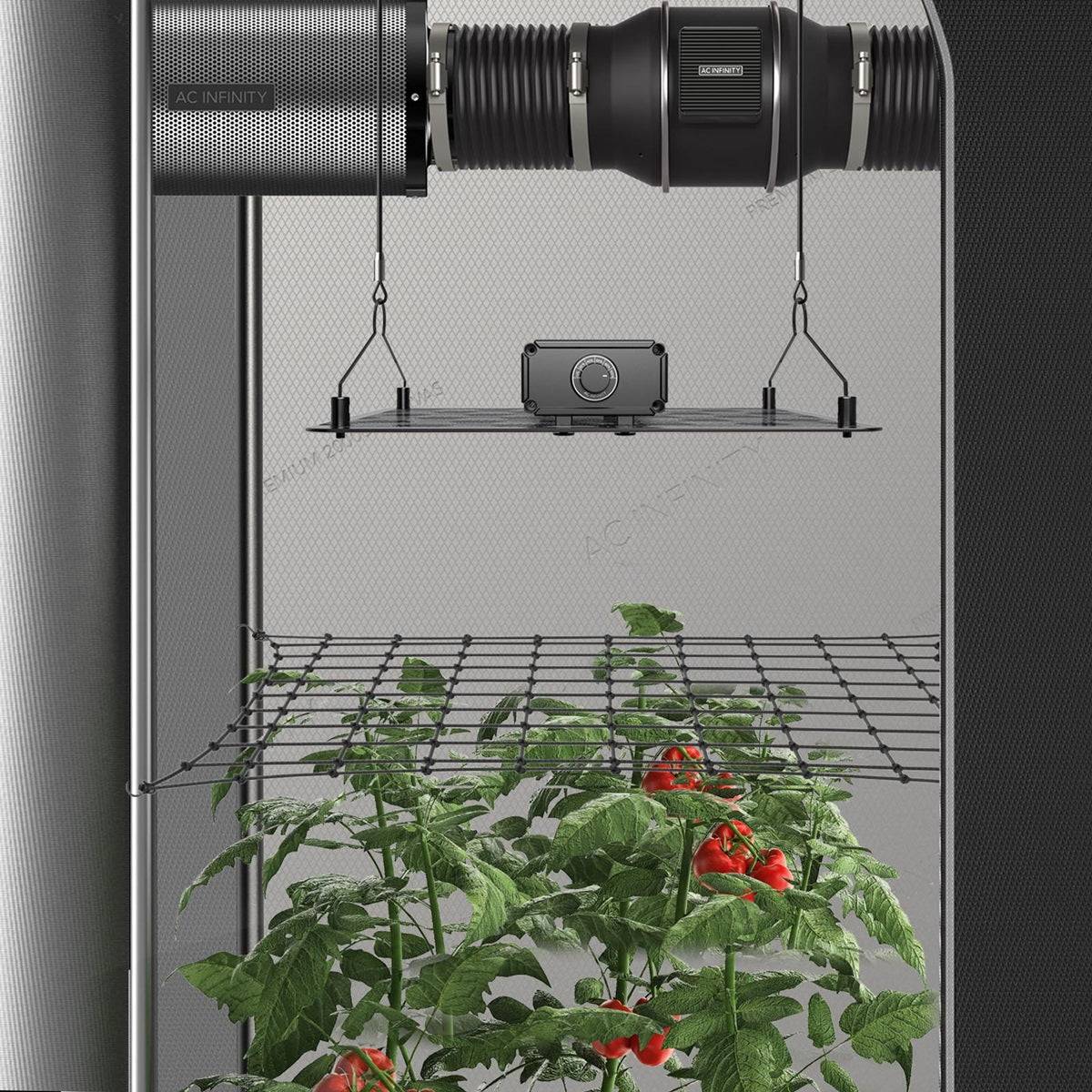 Filet de palissage AC Infinity 60x60cm installé dans une tente de culture, soutenant des plants de tomates pour une croissance horizontale optimisée.