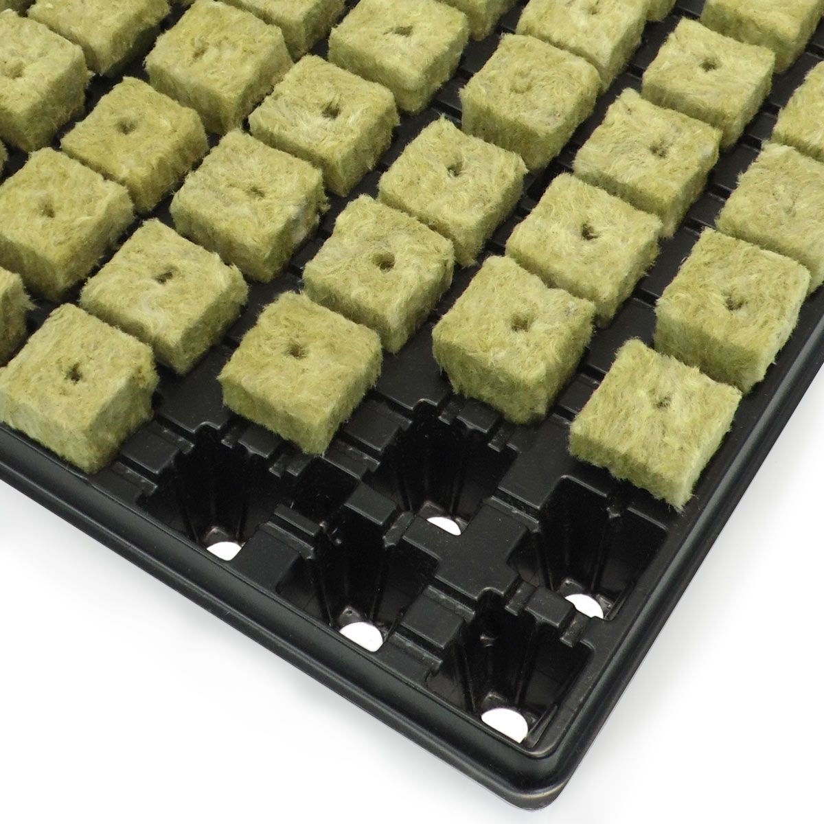 cube de laine de roche Grodan - Plateau de 150 bouchons de laine de roche