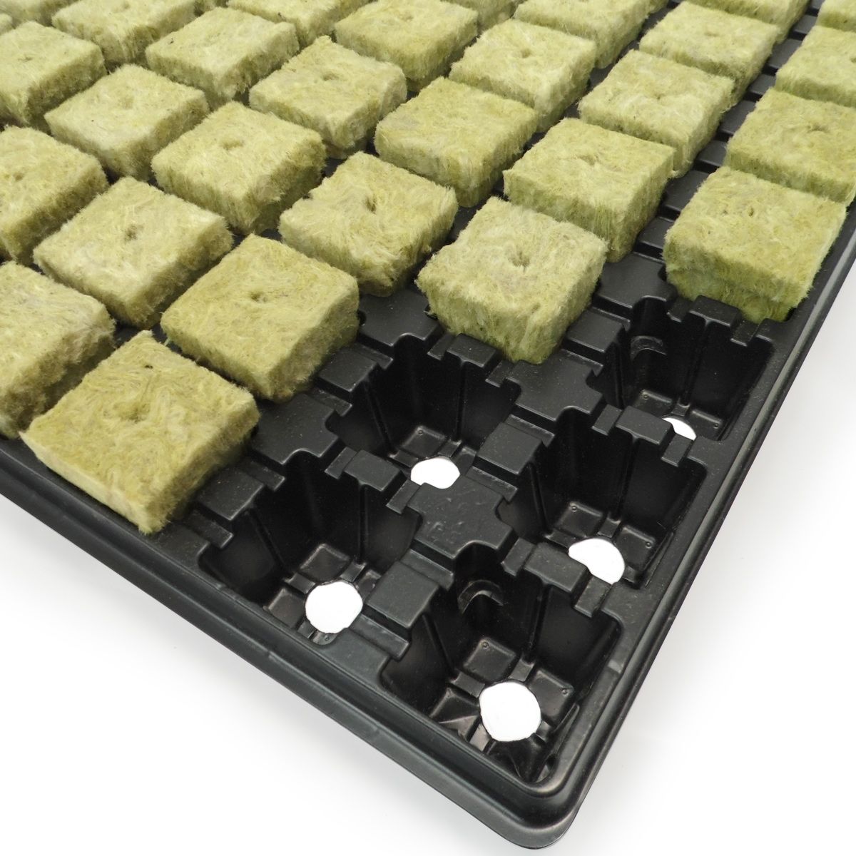 cube de laine de roche Grodan - Plateau de 77 bouchons de laine de roche