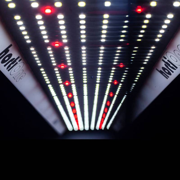 Lampe De Culture Horti One 600 V3