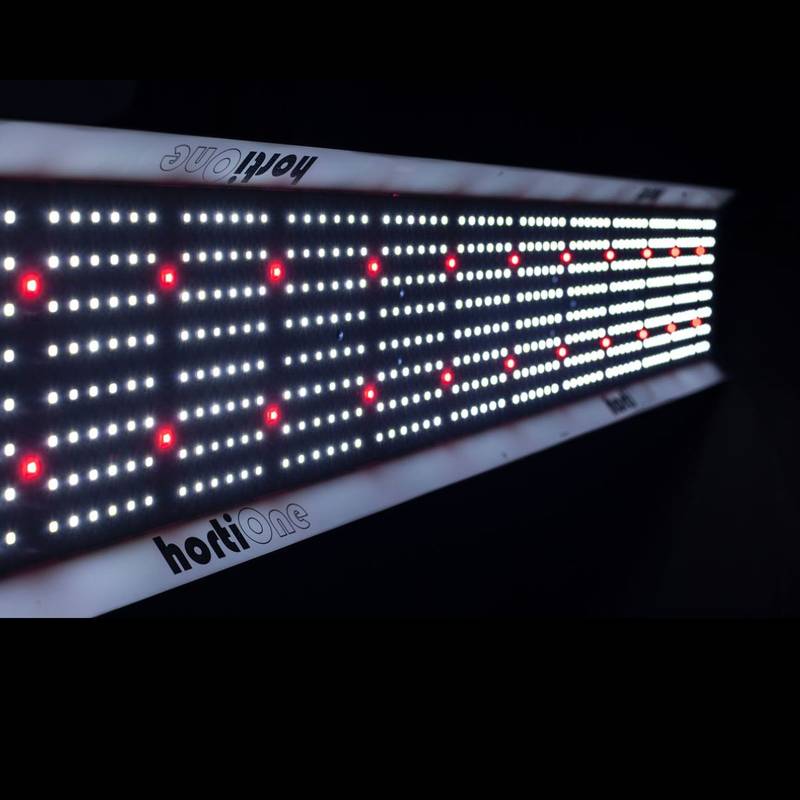 Lampe de culture HortiOne 600 V3 allumée, vue de face