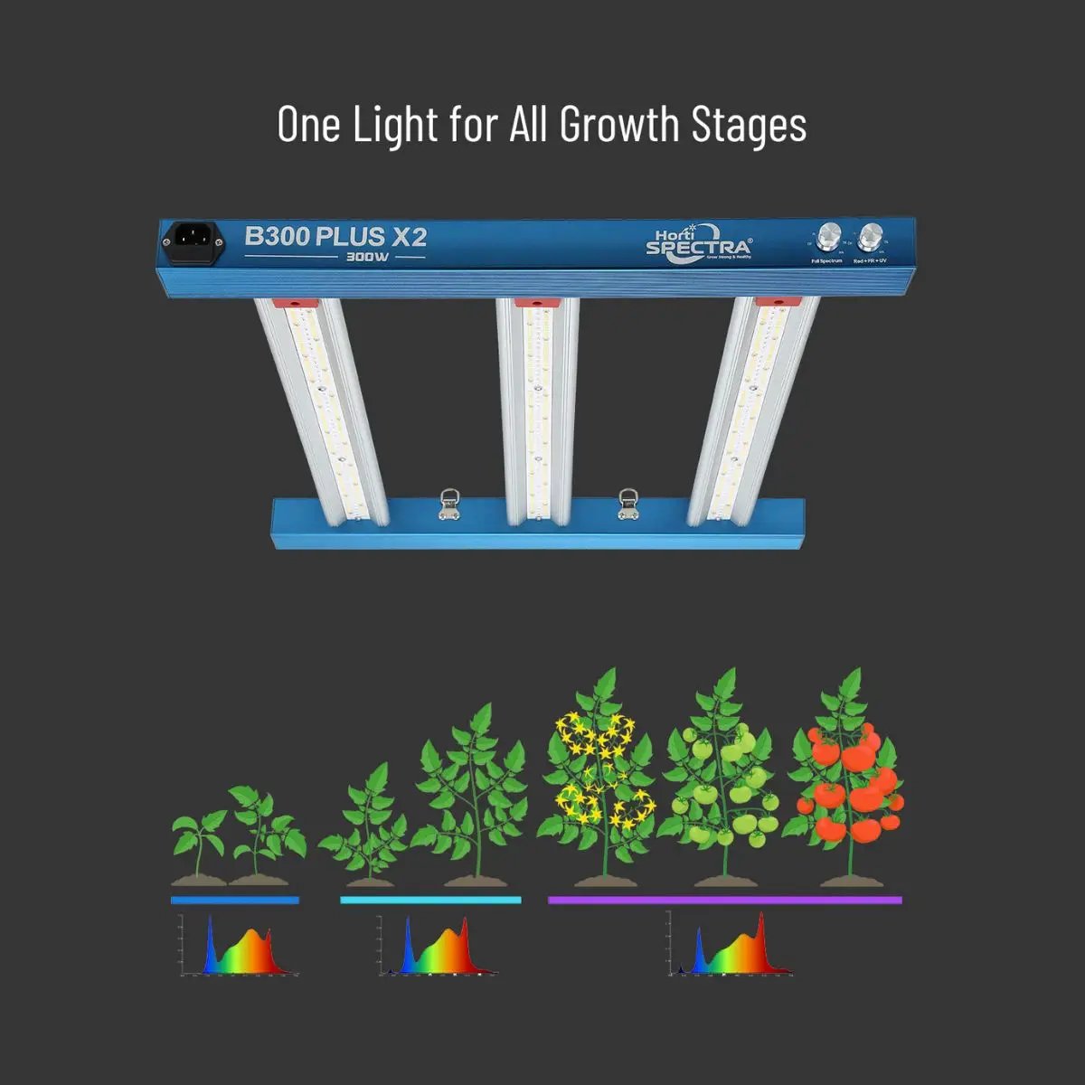 Lampe HortiSpectra B300 Plus X2 300W LED adaptée à toutes les phases de croissance des plantes, de la germination à la floraison.