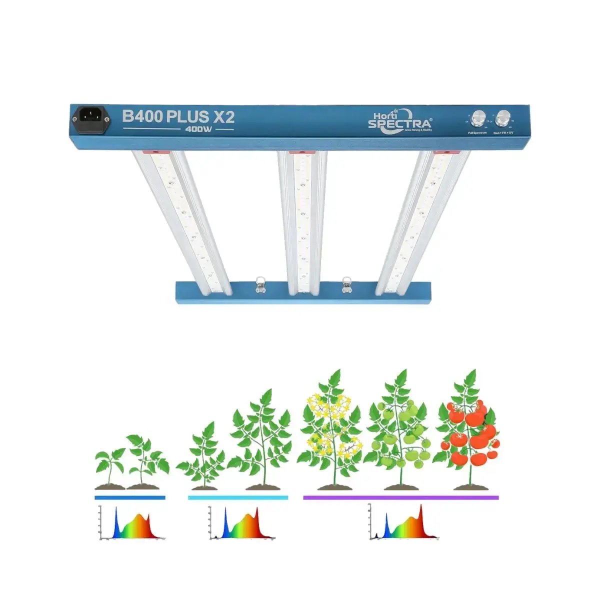 Lampe HortiSpectra B400 Plus X2 avec spectres lumineux adaptés à chaque phase de croissance végétale, de la germination à la floraison.
