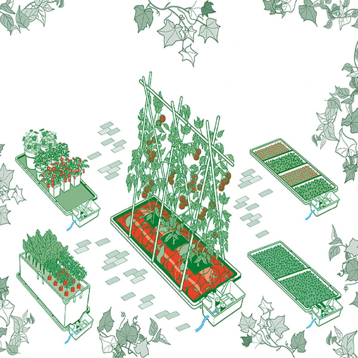 Illustration du système Tray2Grow AutoPot en utilisation avec différentes plantes. Solution idéale pour culture indoor et propagation hydroponique.