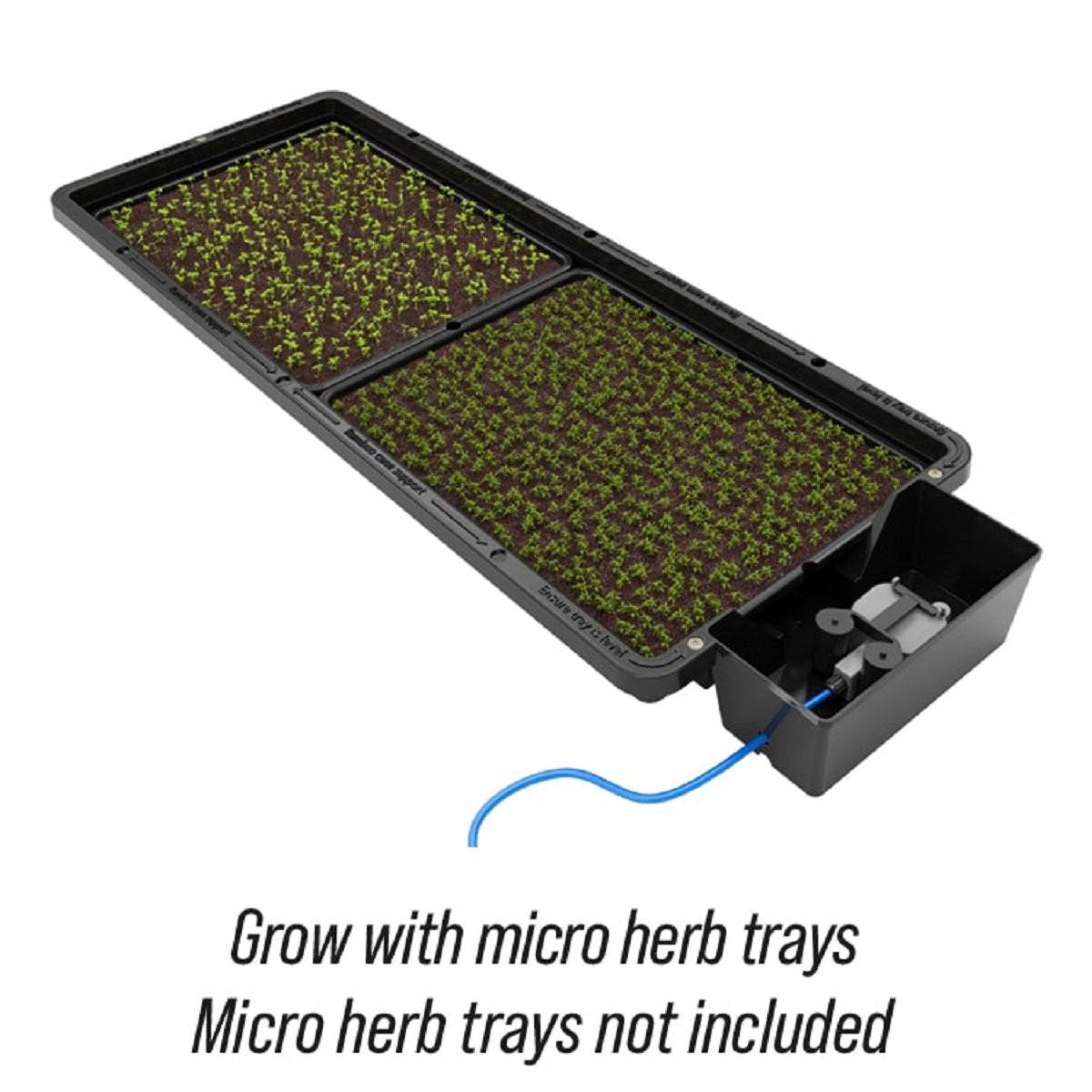 Plateau Tray2Grow AutoPot utilisé avec des micro-plateaux d'herbes pour culture hydroponique. Micro-plateaux non inclus, parfait pour semis.