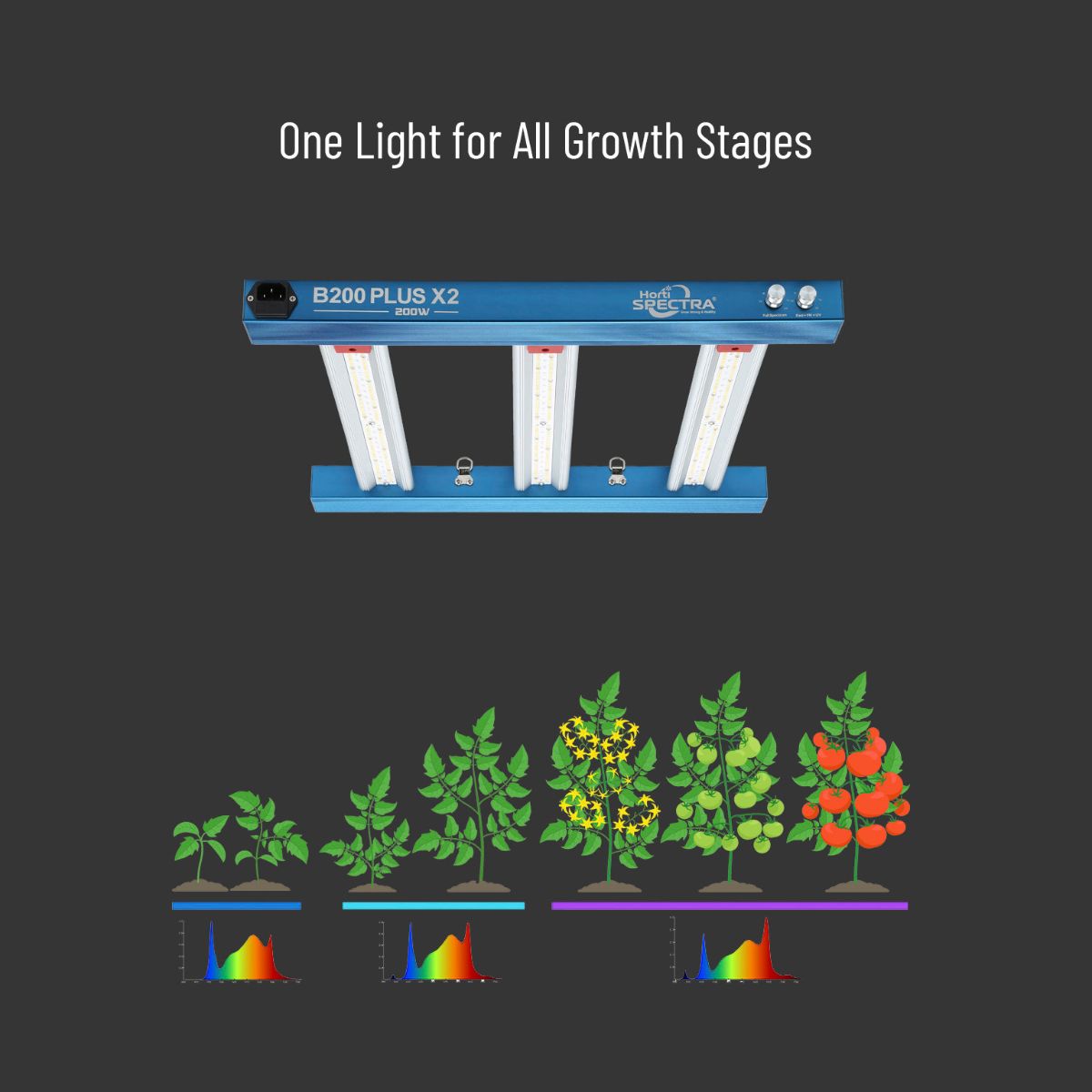 Lampe LED HortiSpectra B200 Plus X2 200W avec illustration des stades de croissance des plantes et spectres lumineux adaptés.