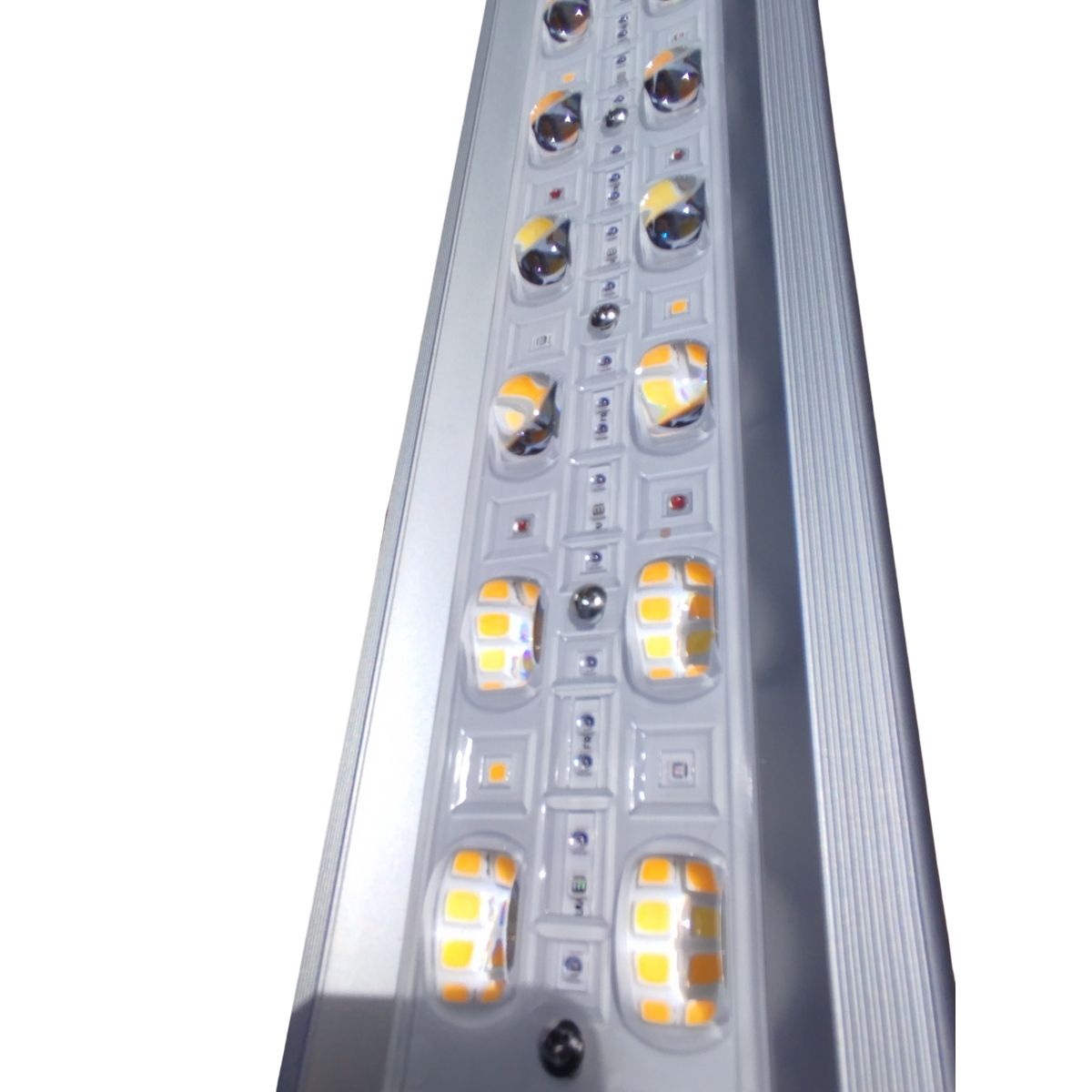 Zoom sur les LED haute intensité de la lampe HortiSpectra B600 PRO MAX 720W avec lentilles optiques brevetées pour un rendement lumineux optimal.