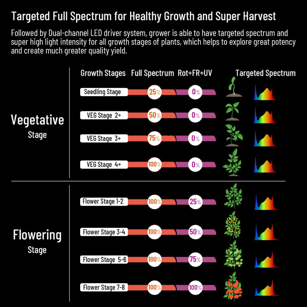Tableau des spectres lumineux ciblés de la lampe HortiSpectra B600 PRO MAX 720W LED pour chaque phase végétative et floraison en culture indoor.