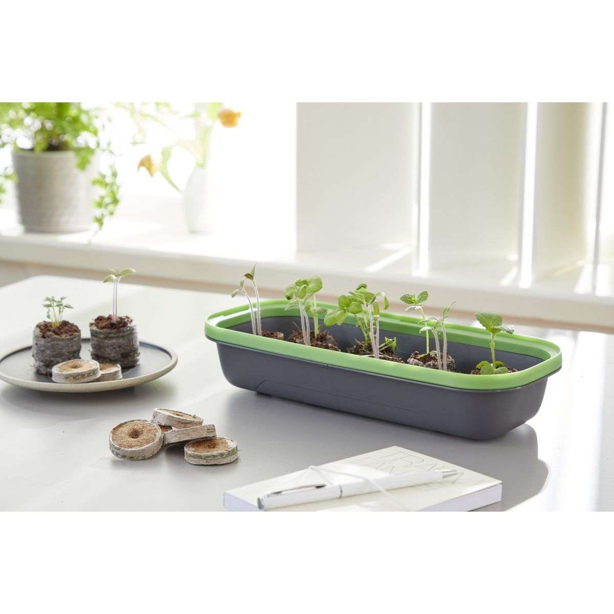 mini serre Mini serre BoQube 28x13x12cm - anthracite vert