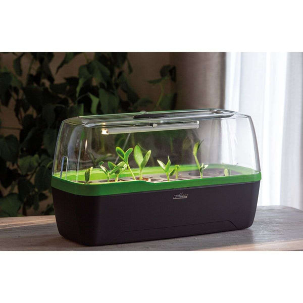 mini serre Mini serre BoQube LED 5W - anthracite vert - 41x17x23cm