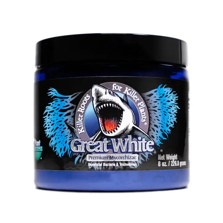 Mycorhizes pour plantes Great White Mycorrhizae 226,8 grammes