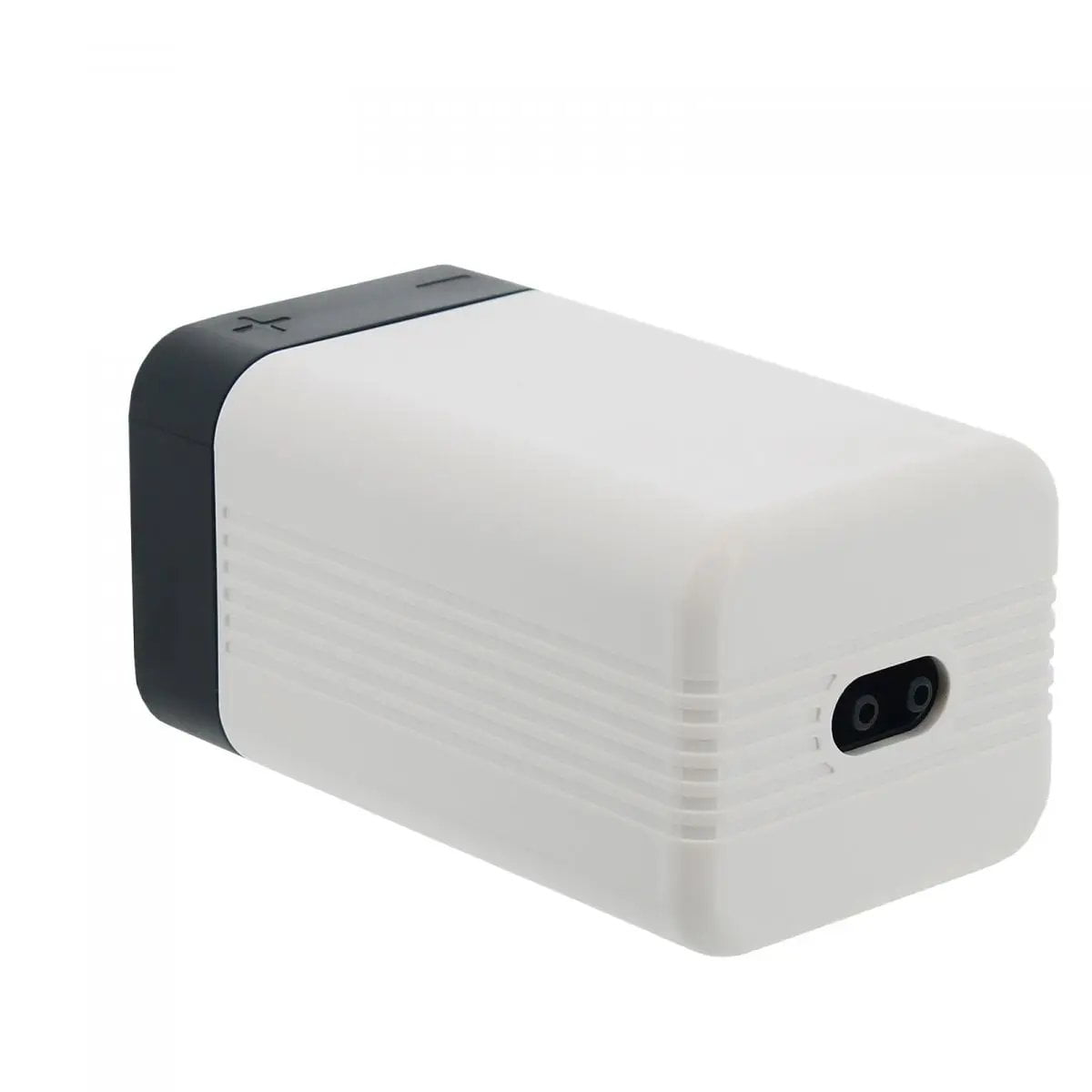 pompe à air Neptune Hydroponics - Pompe à air 2 sorties | 2x1.5L/min