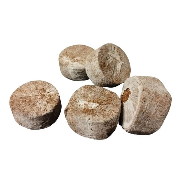 Pastilles de coco Jiffy 7C 35mm pour germination