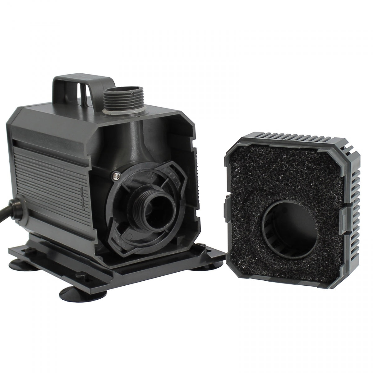 Vue intérieure de la pompe à eau NH2000 avec filtre