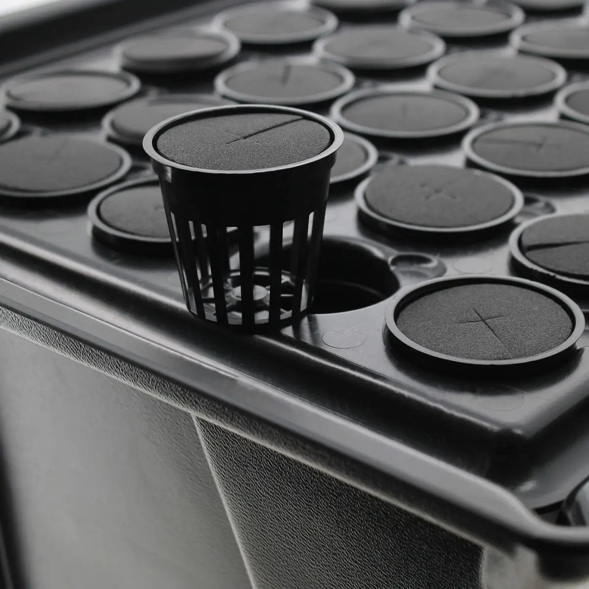 hydroponique X-Stream 40- Propagateur aéroponique pour 40 plantes