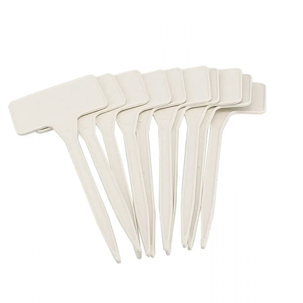 Etiquettes blanche en plastique pour le marquage de plantes et semis ou boutures