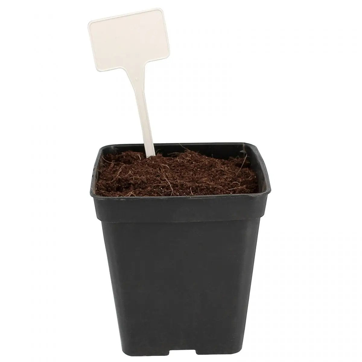 Solid Plastic White Labels -10Pcs