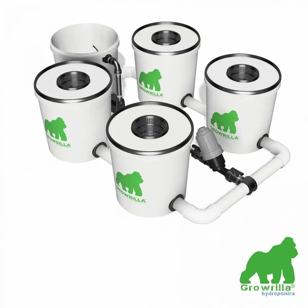 Growrilla Rdwc 4 Pro