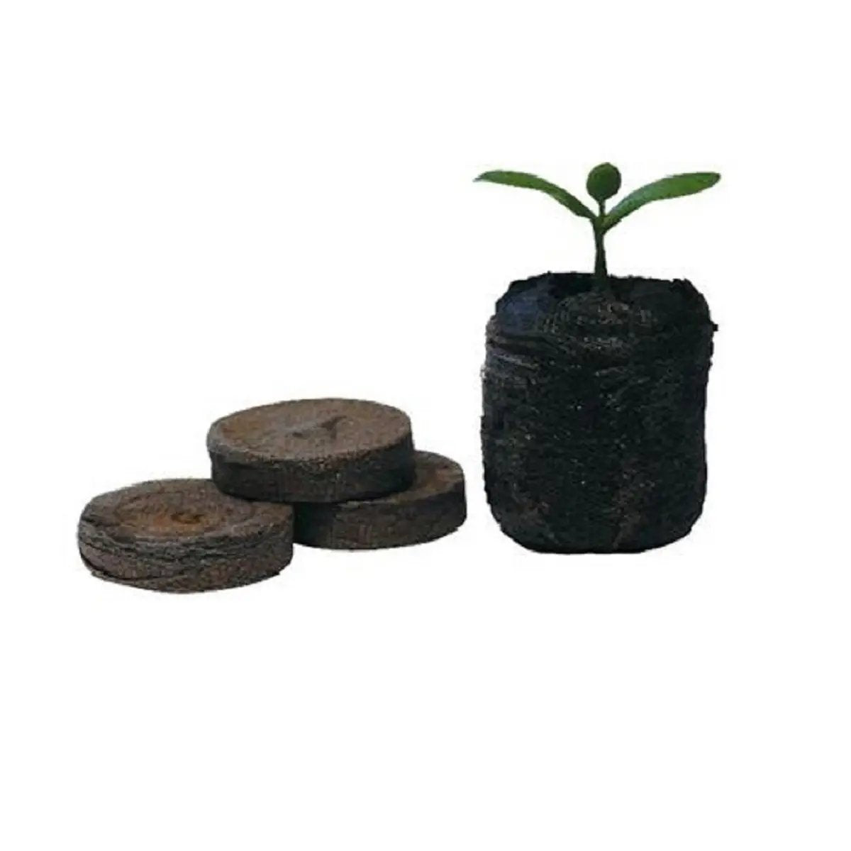 Jiffy 7 - pastilles de tourbes et Coco 41mm - 25 pièces