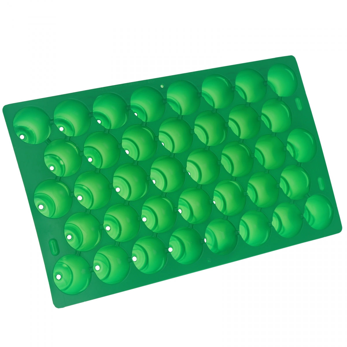 Plaques de germination pour semis et boutures avec 38 alvéoles