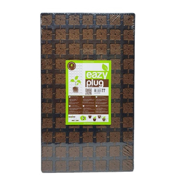 Eazy Plug plateau de cubes Ă  germination 77 Pcs