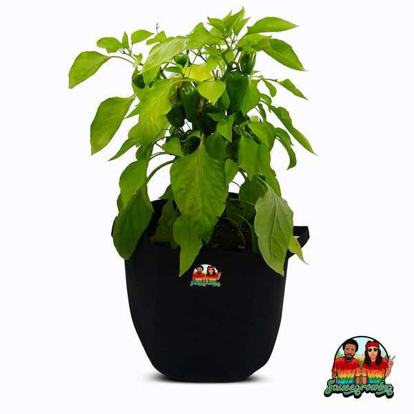 Saucegrowing Sauce-pot - 7 Litres