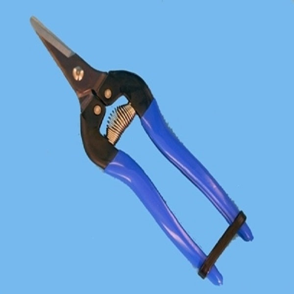 La collection de sécateur, scalpels et ciseaux pour le jardinage