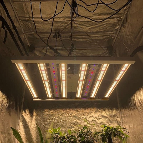 Nos lampes LED horticole pour chambres de culture