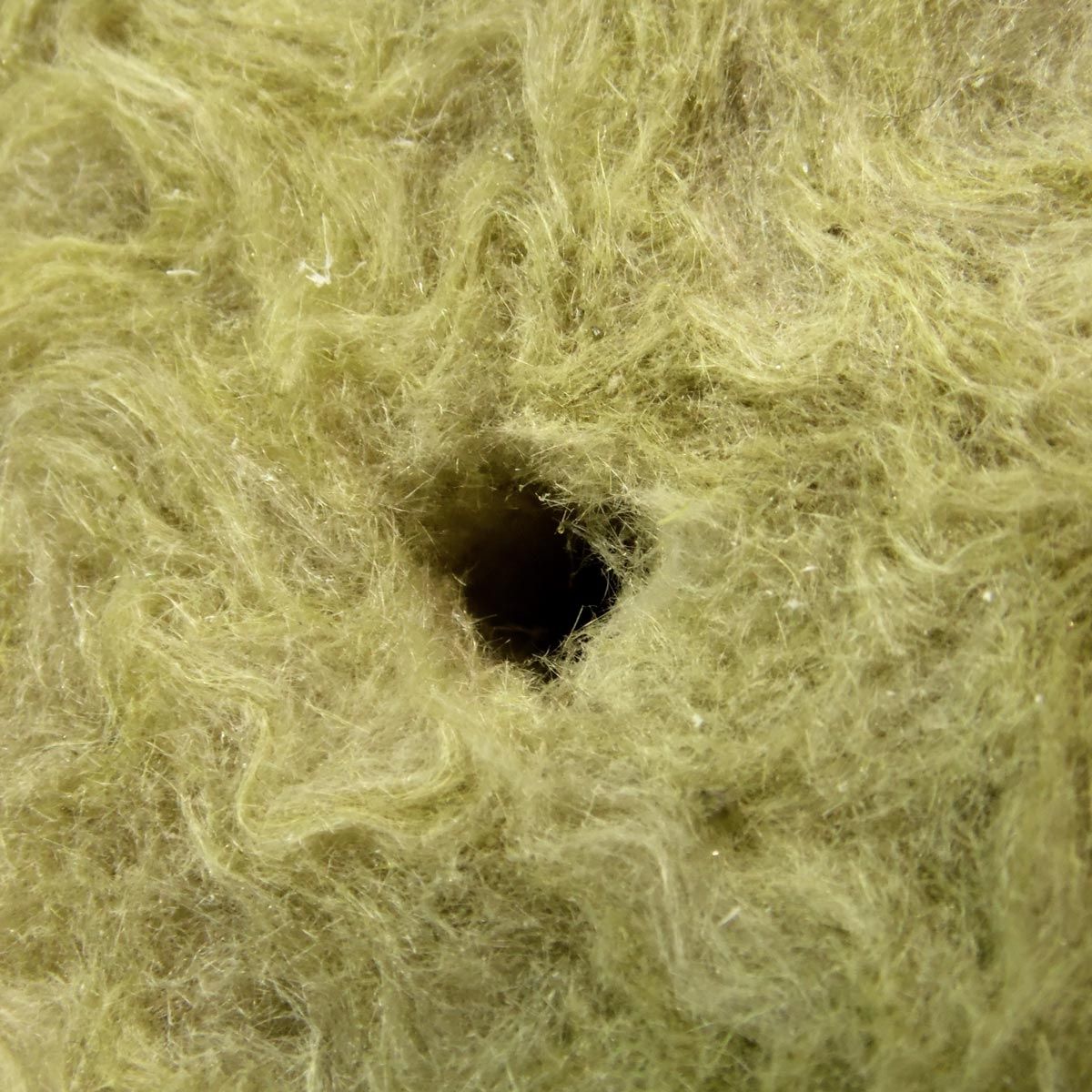 Structure fibreuse d’un cube de laine de roche Grodan avec trou pour graine ou bouture