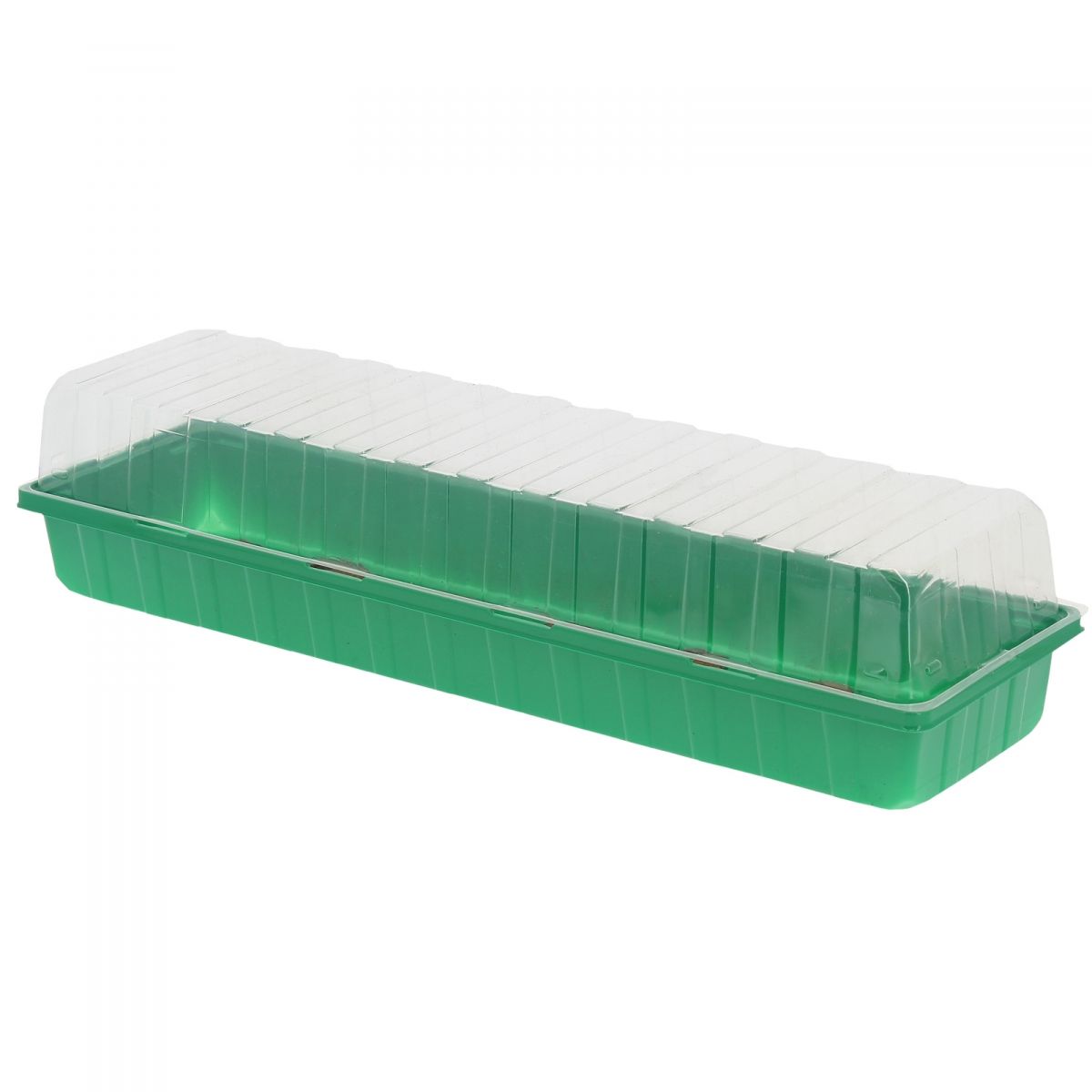 Mini kasvihuone, jossa 20 kookoskuitutablettia