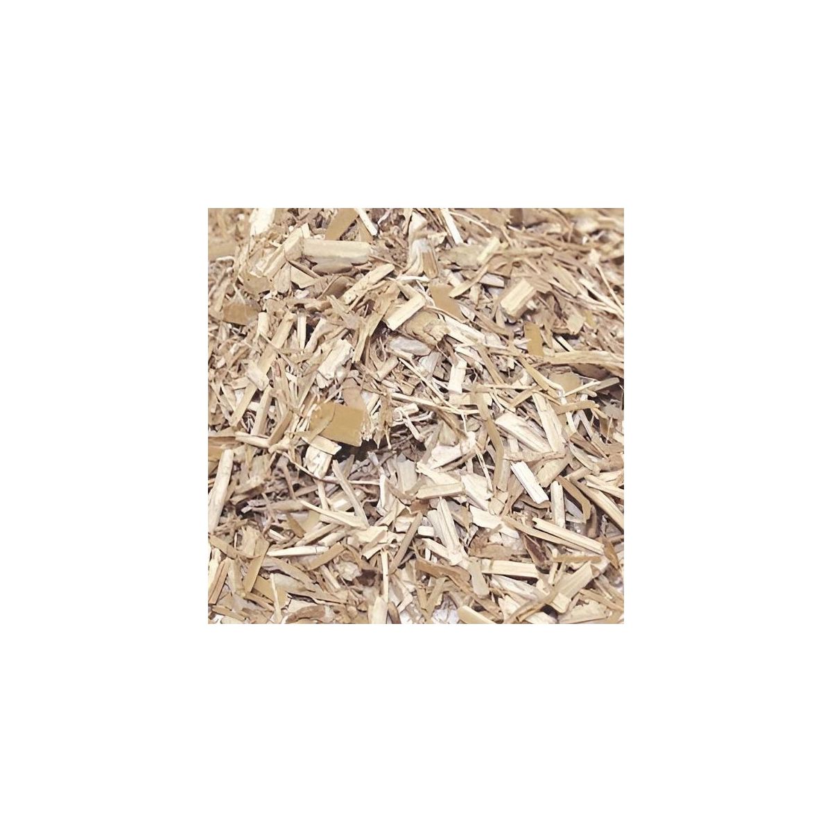 Zoom sur la texture fibreuse du paillis de miscanthus – paillage 100 % naturel