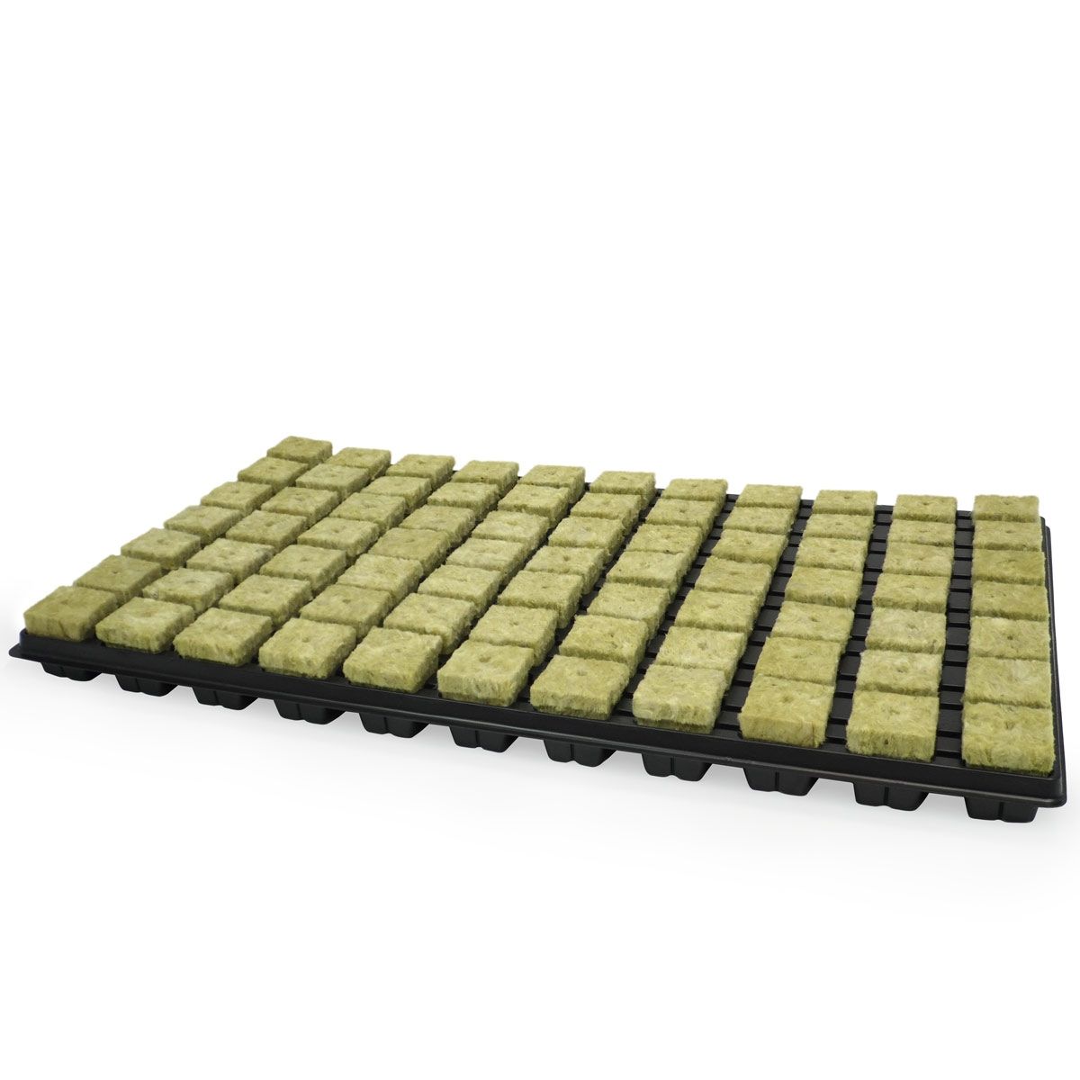 Plateau de 77 bouchons de laine de roche Grodan pour la germination