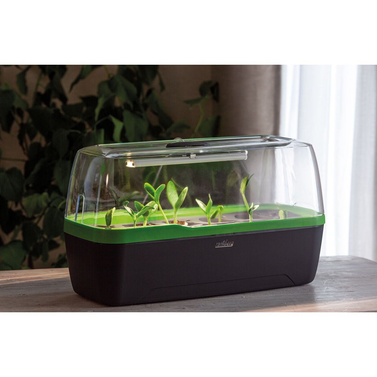 Mini kasvihuone BoQube LED 5W - antrasiitinvihreä - 41x17x23cm