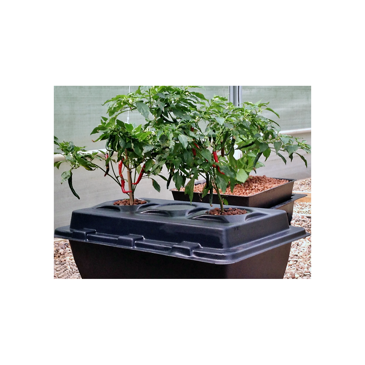 System DWC Oxypot XL