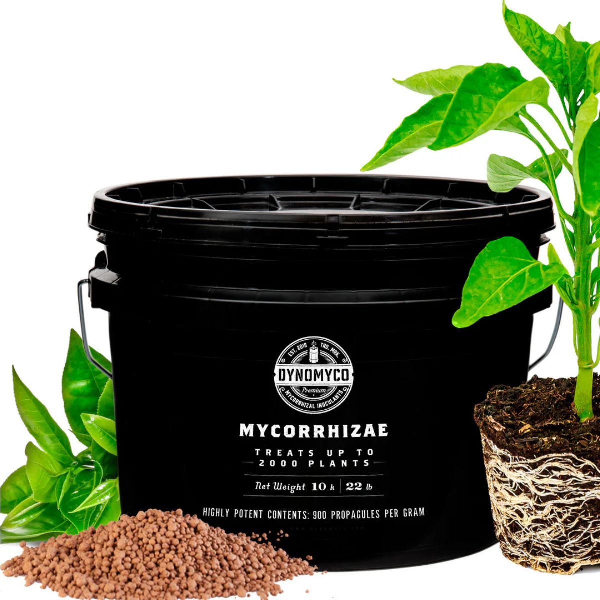 Seau de 10kg de DYNOMYCO Mycorhizes avec granulés, plante en pot et racines visibles, engrais racinaire stimulant la croissance.