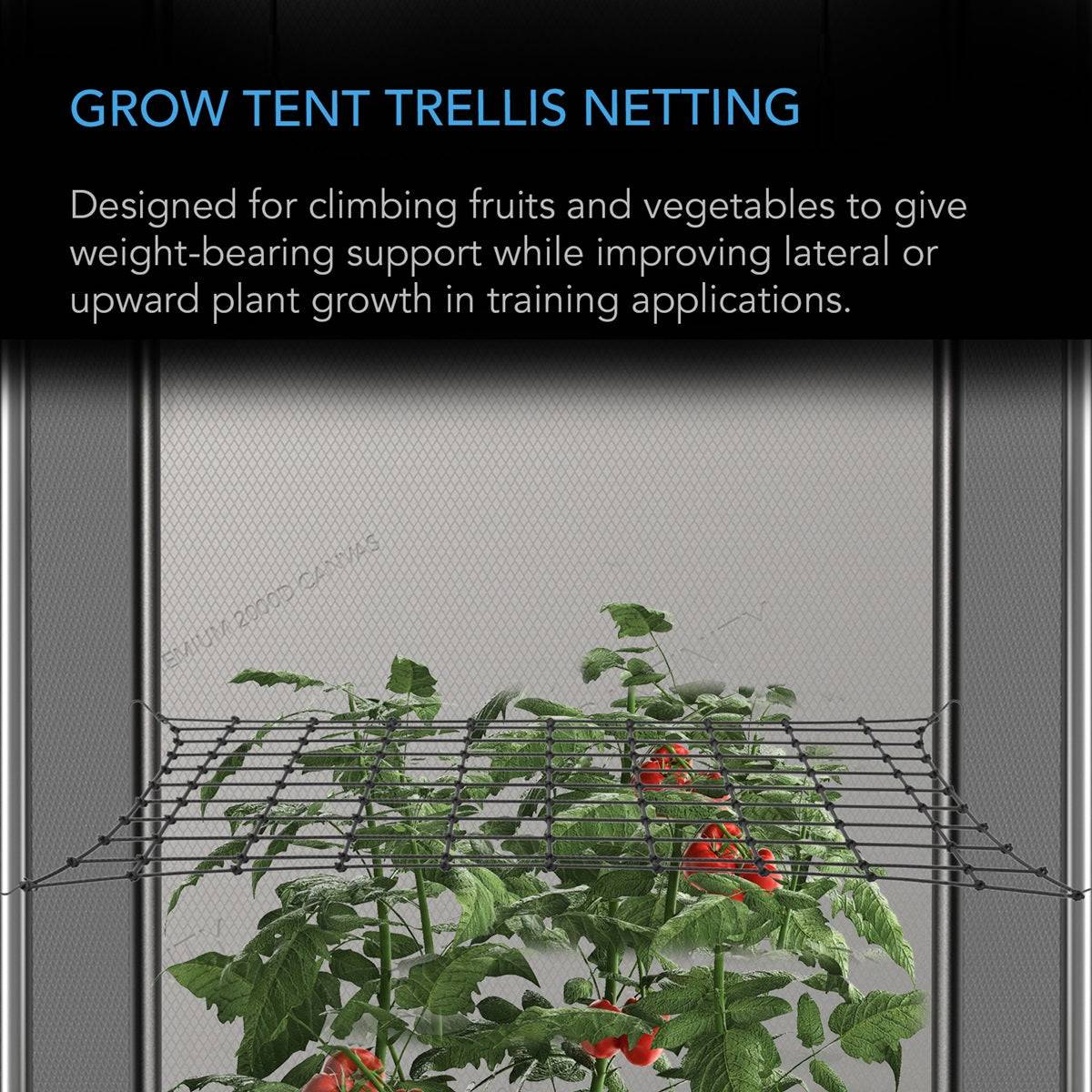 Filet de palissage AC Infinity 60x60cm utilisé dans une tente de culture pour soutenir fruits et légumes grimpants en application Scrog.