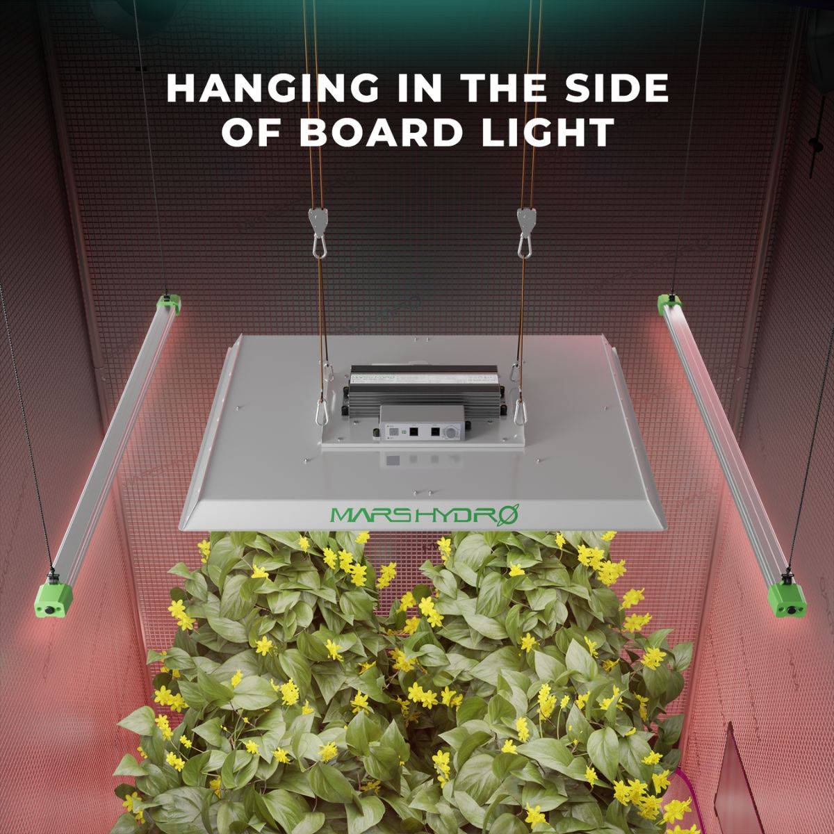 Installation latérale des barres LED Mars Hydro IR15 dans une tente de culture, optimisant la floraison grâce à l'infrarouge 730-745nm.