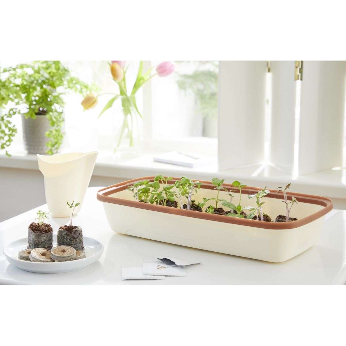 mini serre Mini serre BoQube 28x13x12cm - crème cuivré