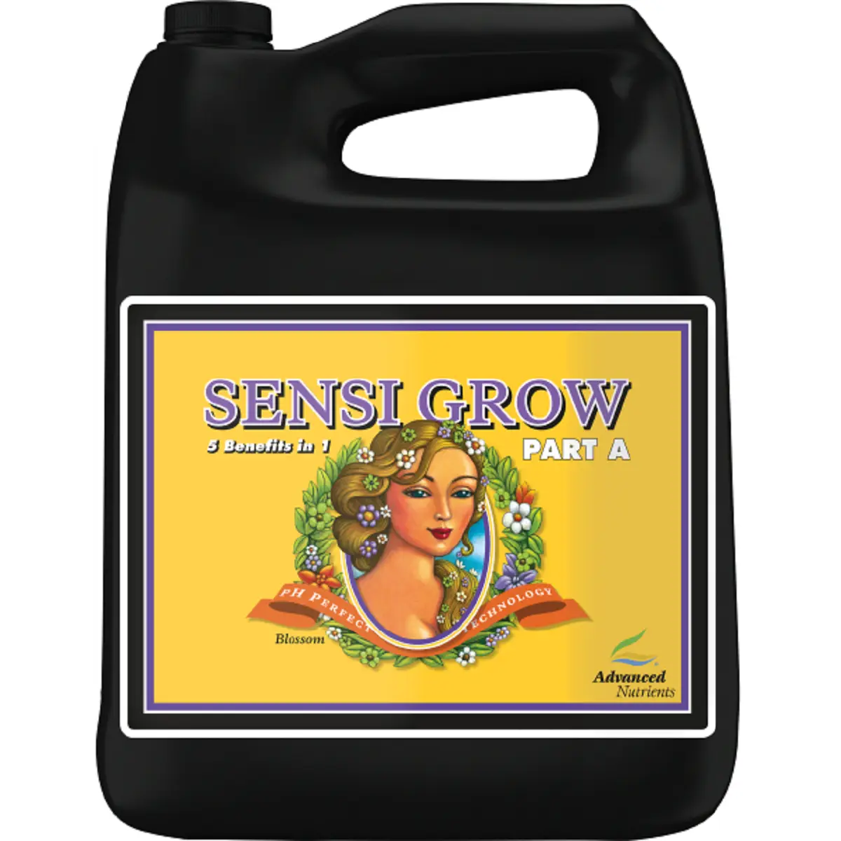 Engrais de base Advanced Nutrients PH Perfect Sensi Grow A & B 5 litres